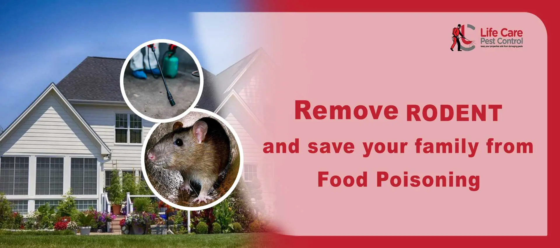 pest control service in Howrah