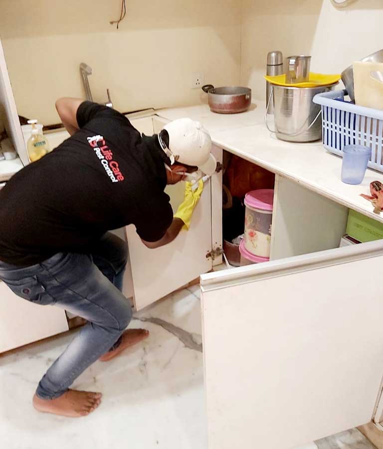 Life Care Pest Control