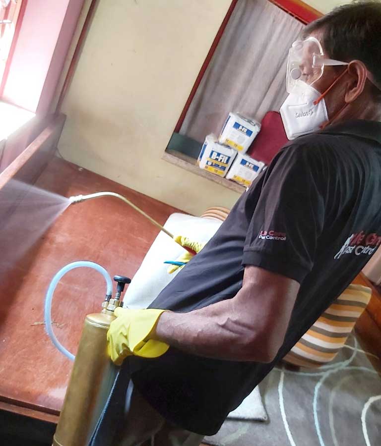Life Care Pest Control
